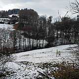 IMG_20160304_140459