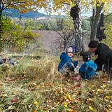 IMG_20161029_125151