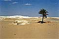 10-white_desert08