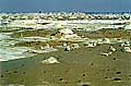 15-white_desert04